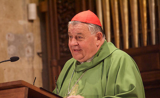 Kardinal Dominik Duka