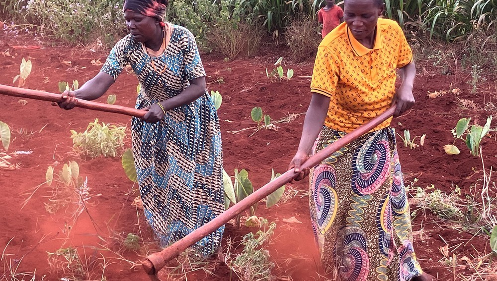 Feldarbeiterinnen in Burundi