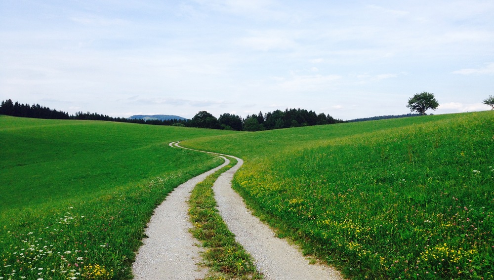 Natur / Weg