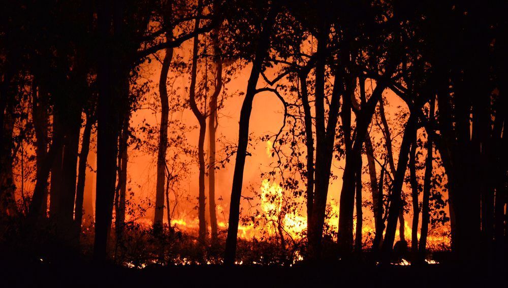 Waldbrand