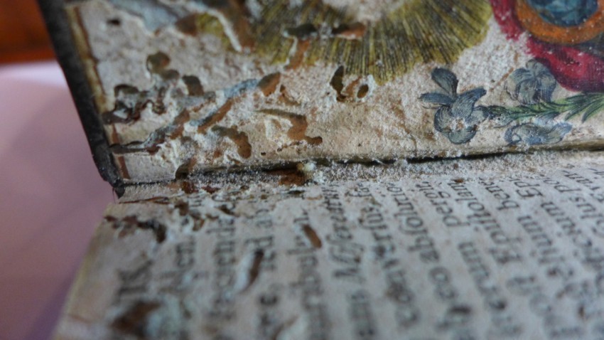 Buch mit Brotkäferbefall in Bibliothek der Erzabtei Pannonhalma