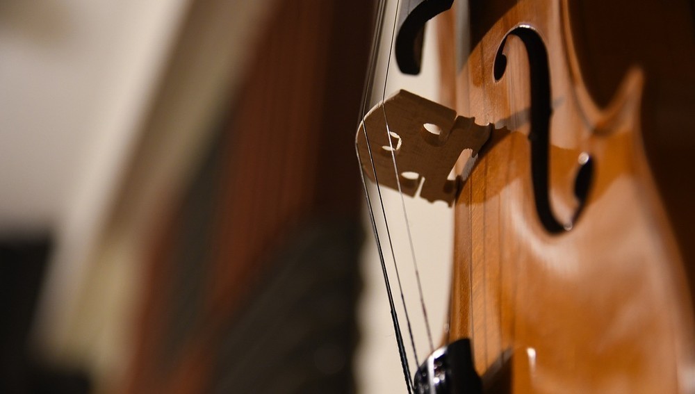 Cello