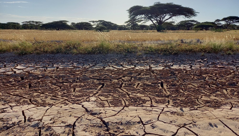 Kenia, Marsabit, 