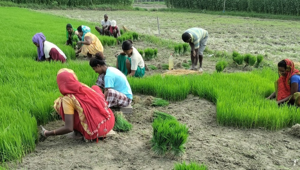 Back To Nature“-Programm von Jugend Eine Welt in Nepal