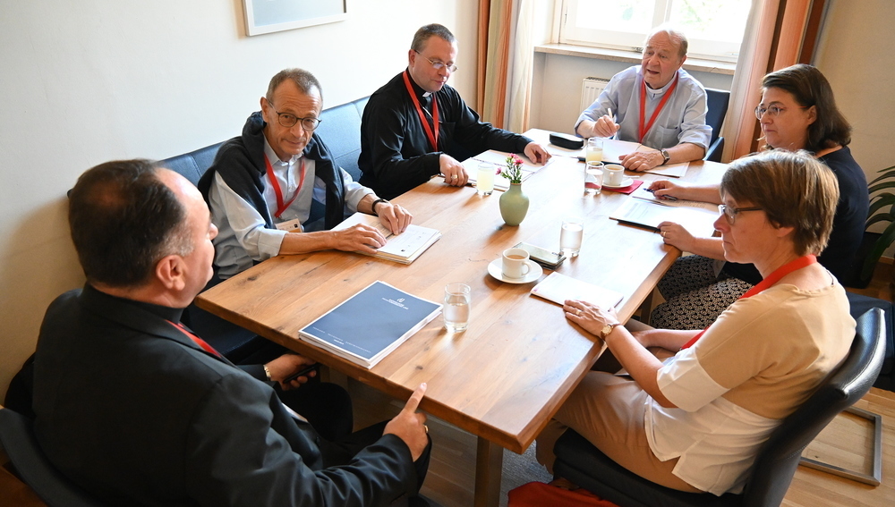 Europäischer Synoden-Workshop in Linz (29.-31.8.2024)