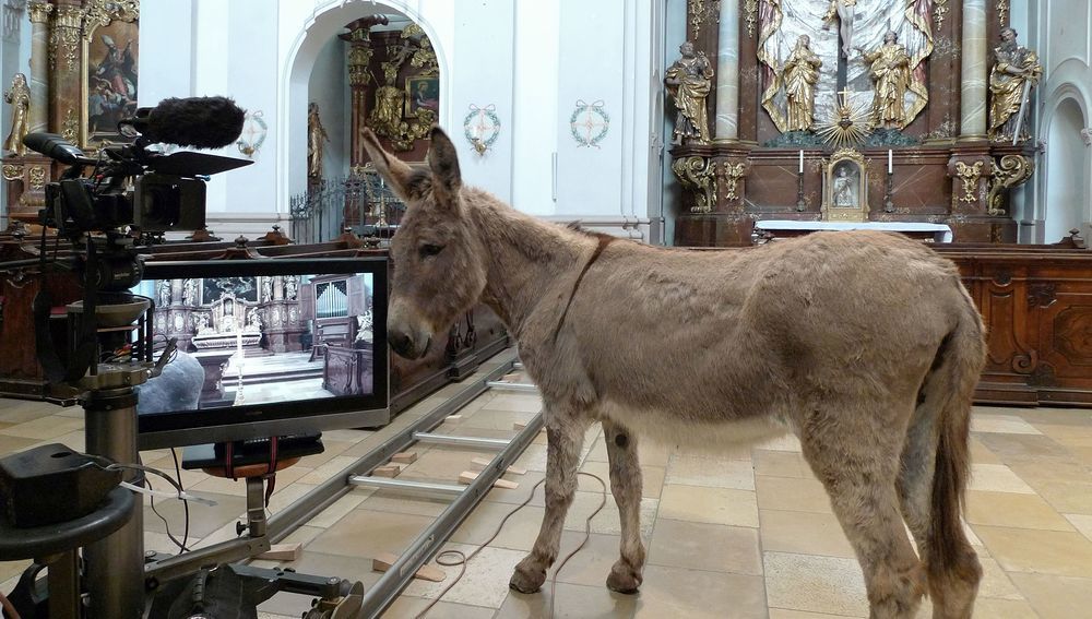 Ausschnitt der Videoinstallation von Nicole Six und Paul Petritsch in der Linzer Ursulinenkirche