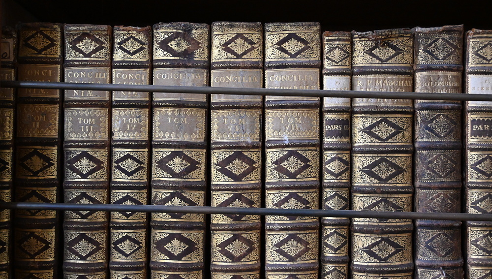 Bibliothek in Stift Altenburg