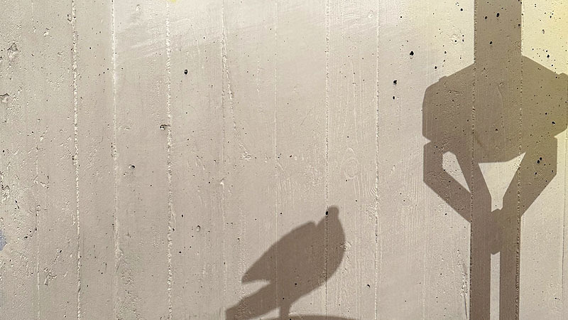 'Hoffnung Frieden' Ausstellung im Grazer Diözesanmuseum