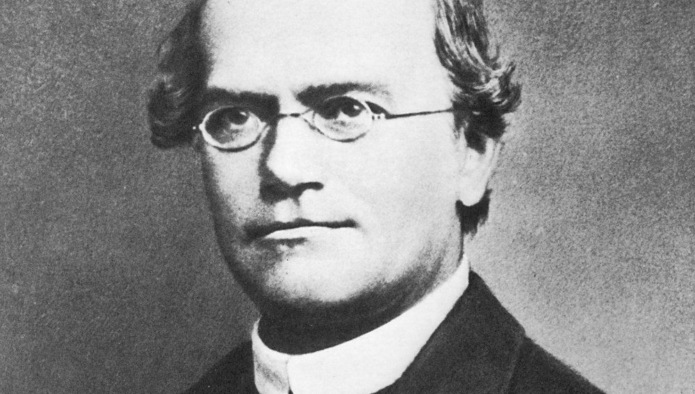 Gregor Mendel