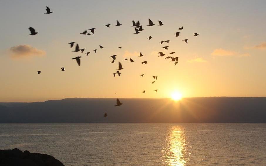 Sonnenaufgang am See Genezareth