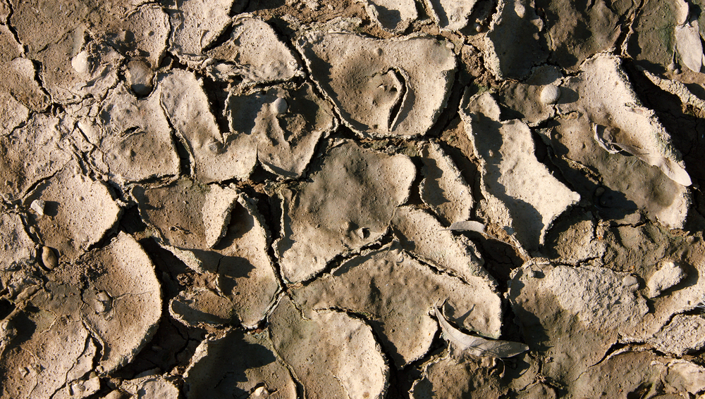 Dürre, Trockenheit, Klima, Acker, Erdschollen ausgetrocknete Erde in einer Dürreperiode, 6. Mai 2009