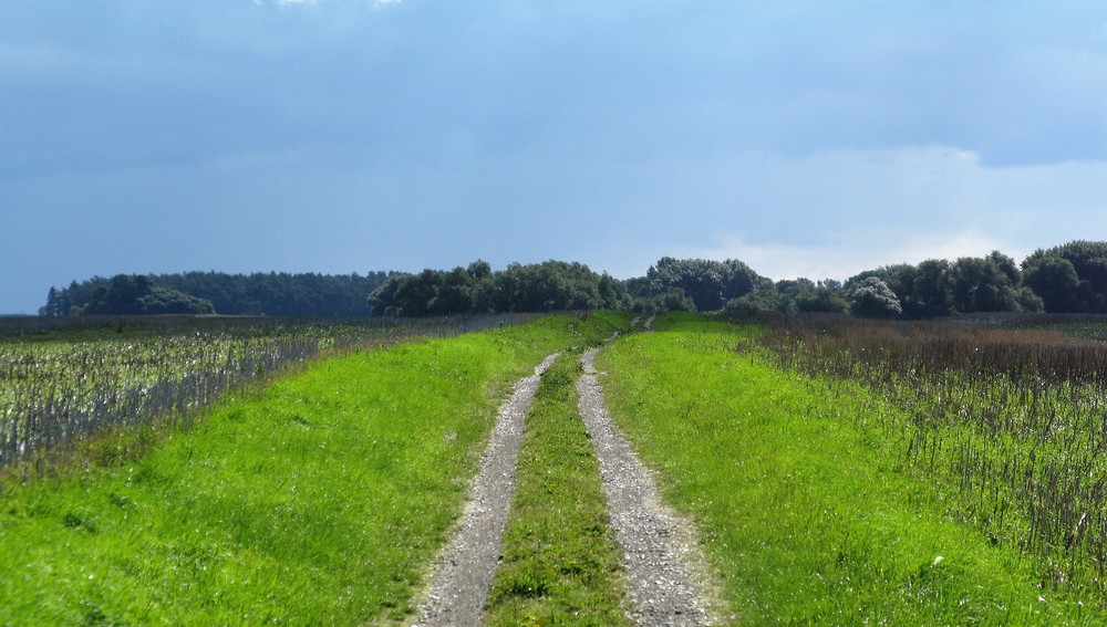 Weg Landschaft Pilgern