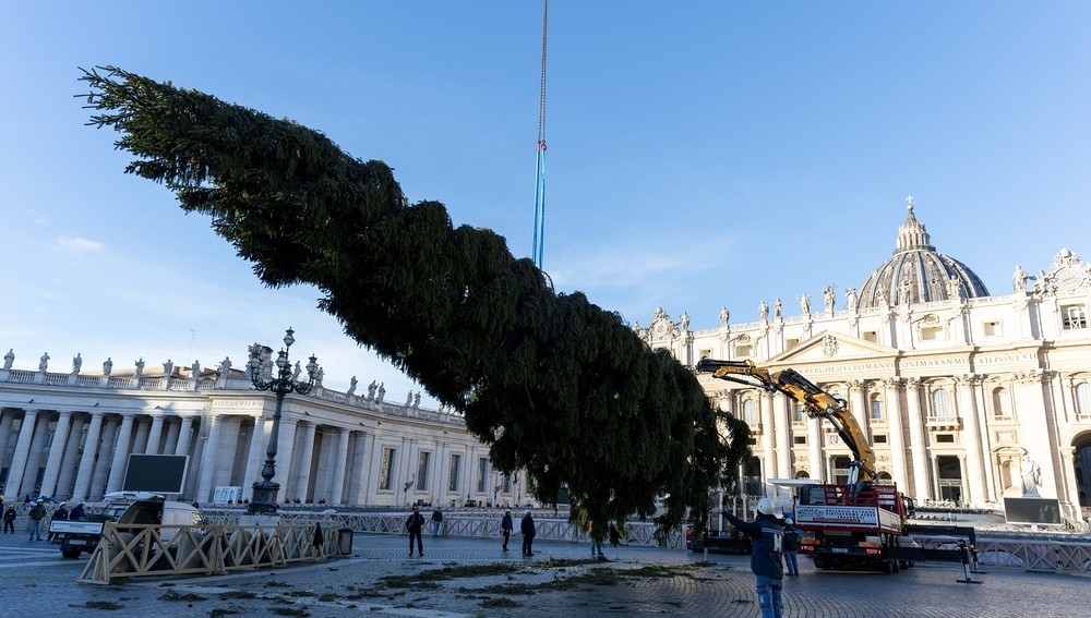 Christbaum auf dem Petersplatz