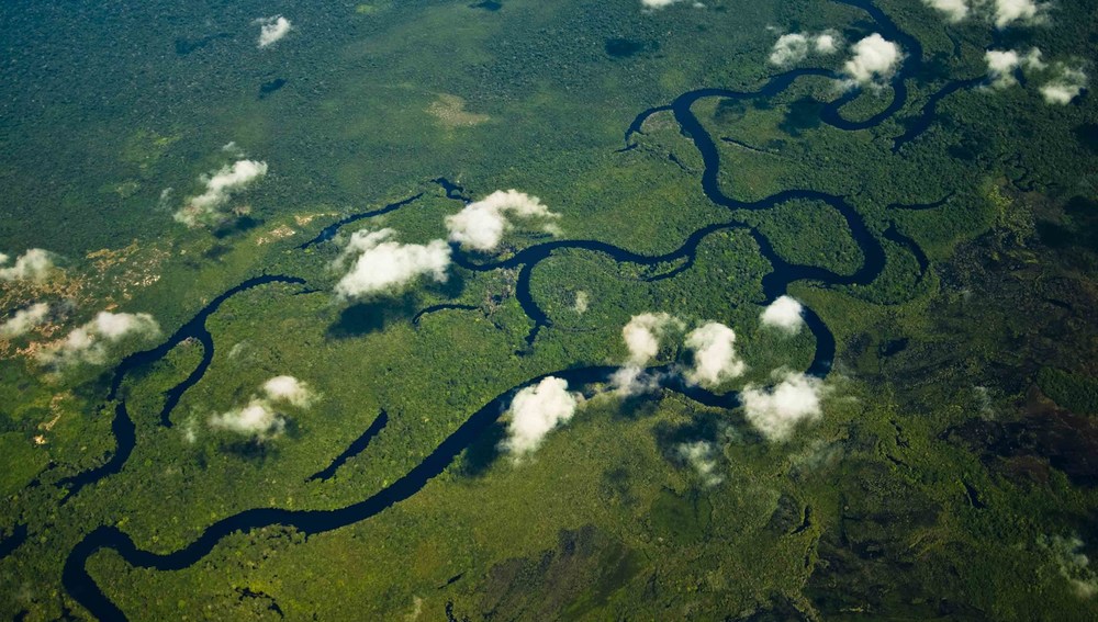 Luftaufnahme vom Urwald im Amazonasgebiet