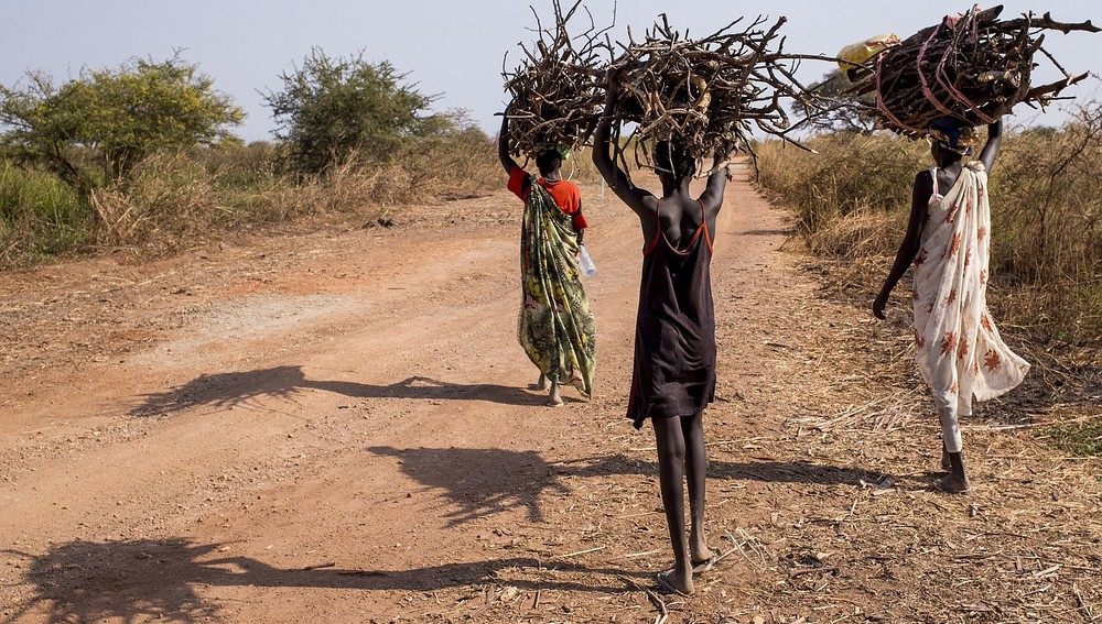 Menschen in Südsudan beim Holzsammeln