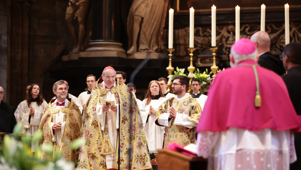 Te Deum für Papst Leo XIV. im Stephansdom