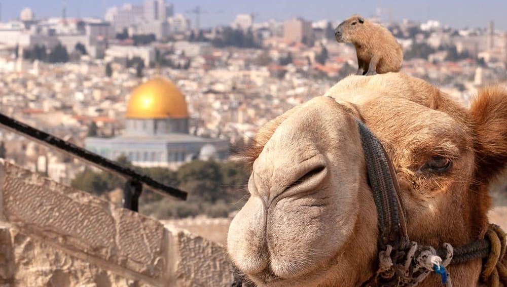Tiere des Jerusalem Biblical Zoo vor dem Felsendom